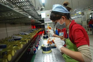 400億美元投資注入，柬埔寨住宿服務業迎巨變